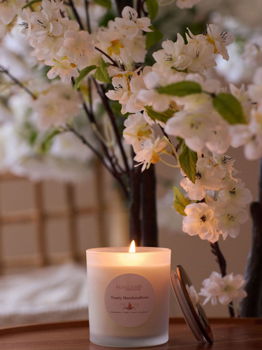 Toasty Marshmallows Soy Candle, Cotton Wick